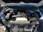 2025 LINCOLN Navigator