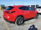 2025 LEXUS Nx