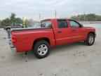 2011 DODGE Dakota
