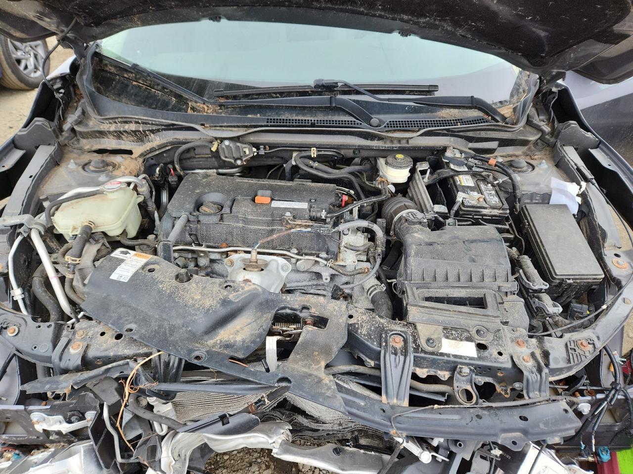2019 HONDA CIVIC