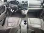 2008 HONDA CR-V