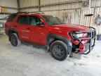 2025 TOYOTA 4Runner