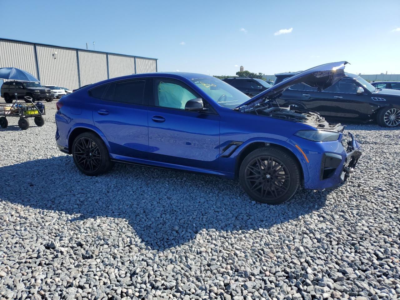 2024 BMW X6
