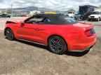 2023 FORD MUSTANG
