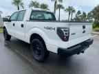 2009 FORD F-150