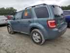 2010 FORD ESCAPE