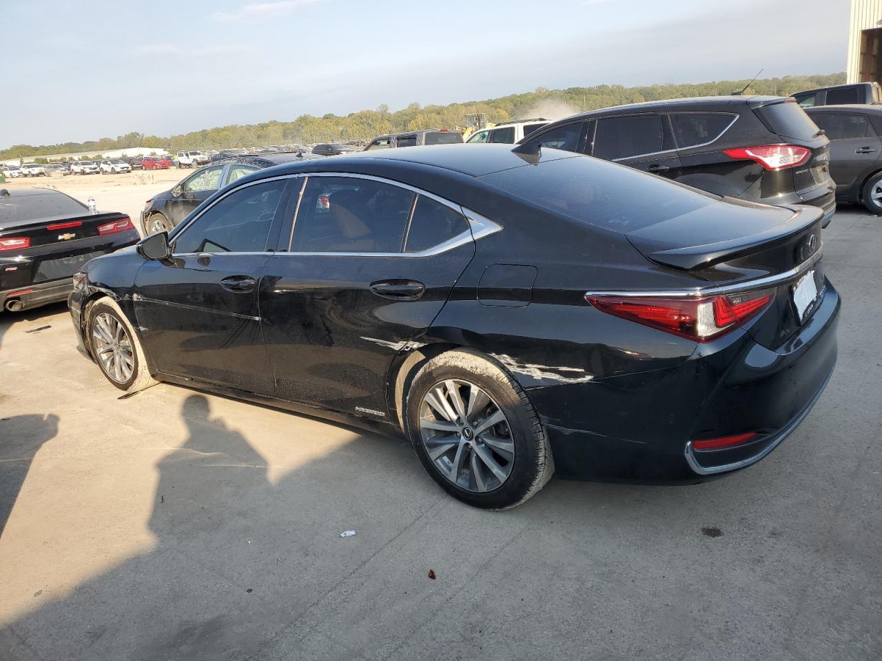 2020 LEXUS ES 300H