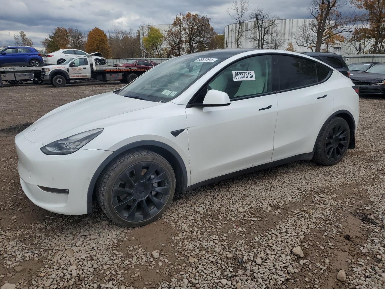2021 TESLA MODEL Y