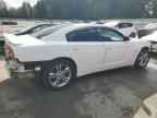 2013 DODGE CHARGER