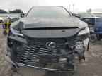 2025 LEXUS Rx