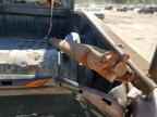 2002 FORD F-150