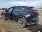 2022 LEXUS Nx