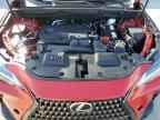 2025 LEXUS Nx