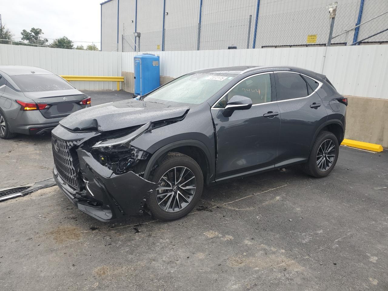 2024 LEXUS Nx