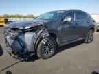 2025 LEXUS NX 250
