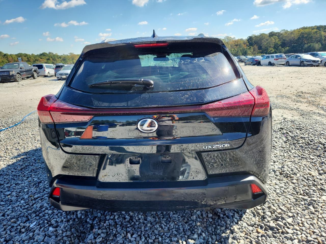 2024 LEXUS UX 250H