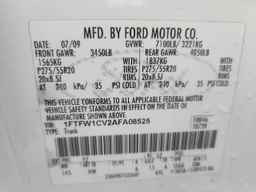 2010 FORD F-150