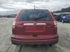 2010 HONDA CR-V