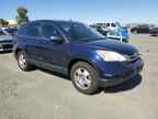 2010 HONDA CR-V