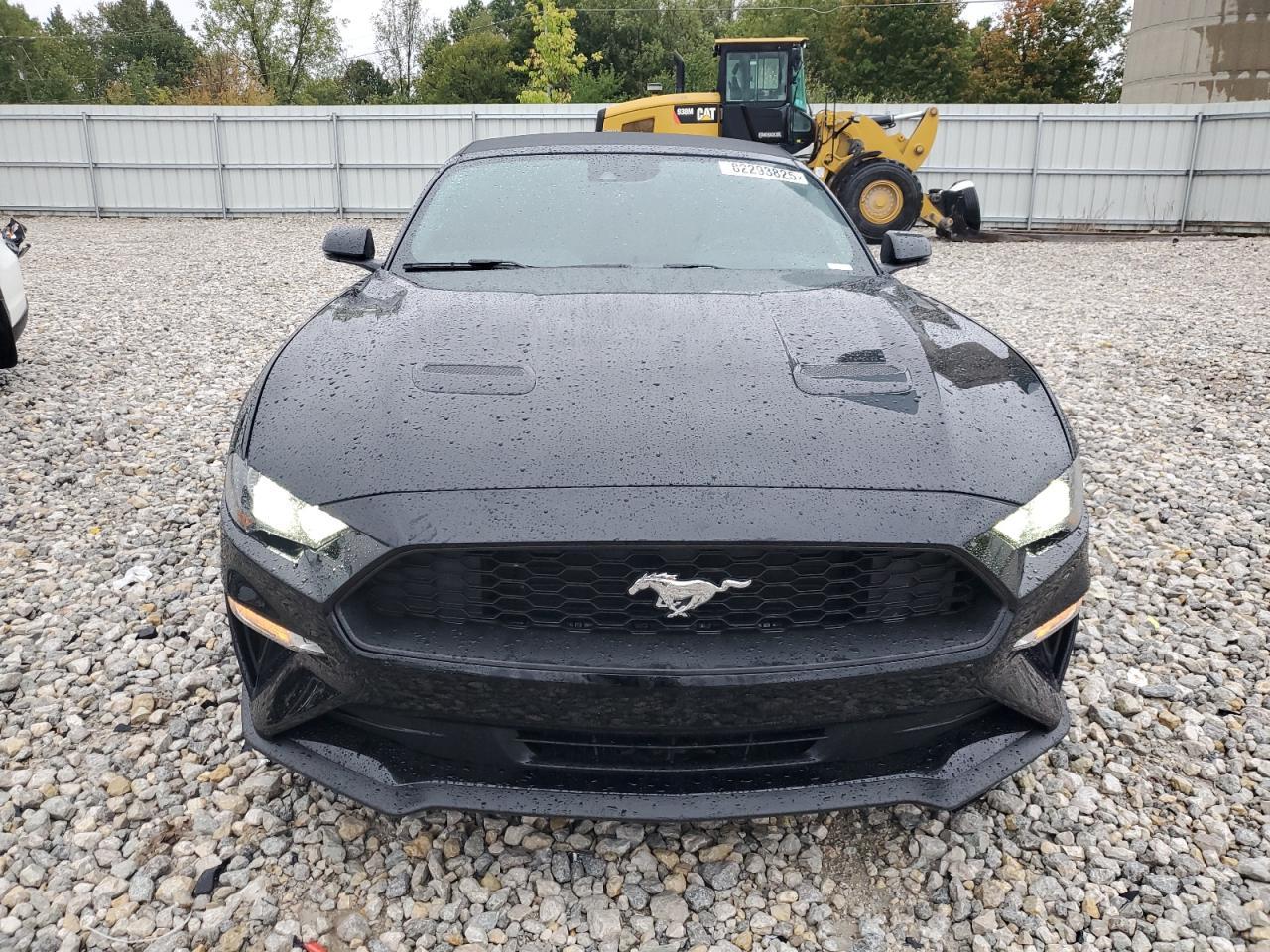 2019 FORD MUSTANG