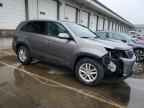 2014 KIA SORENTO