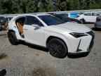 2025 LEXUS Ux