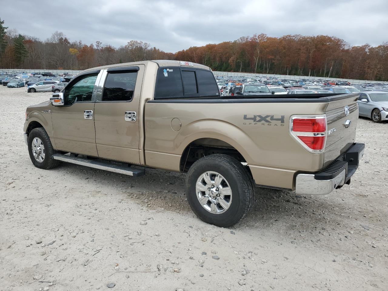 2013 FORD F-150