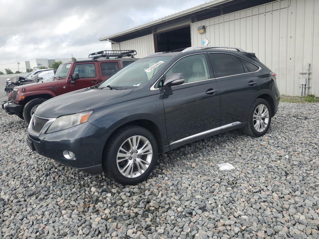2010 LEXUS Rx