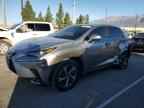2019 LEXUS NX 300