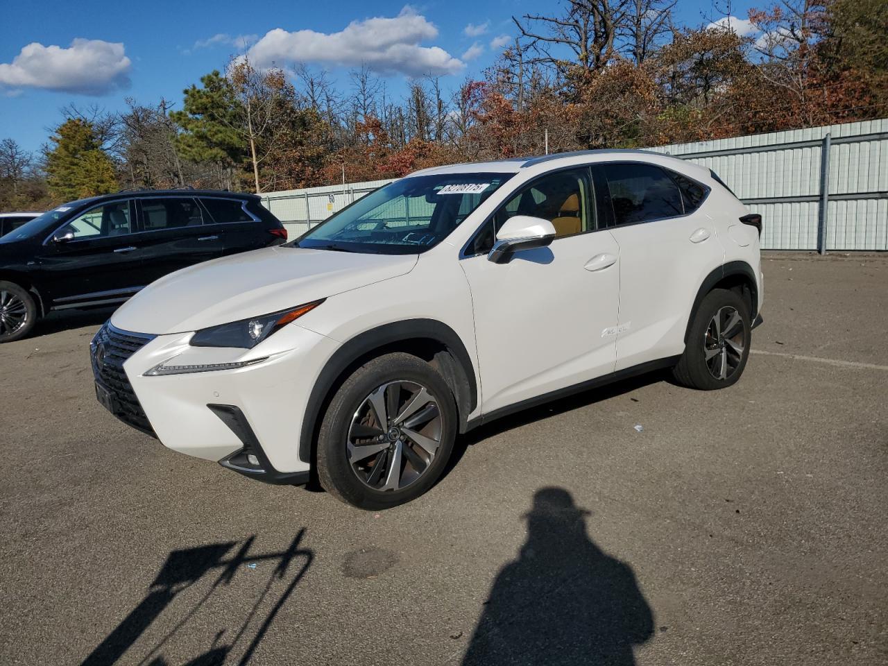 2019 LEXUS NX 300