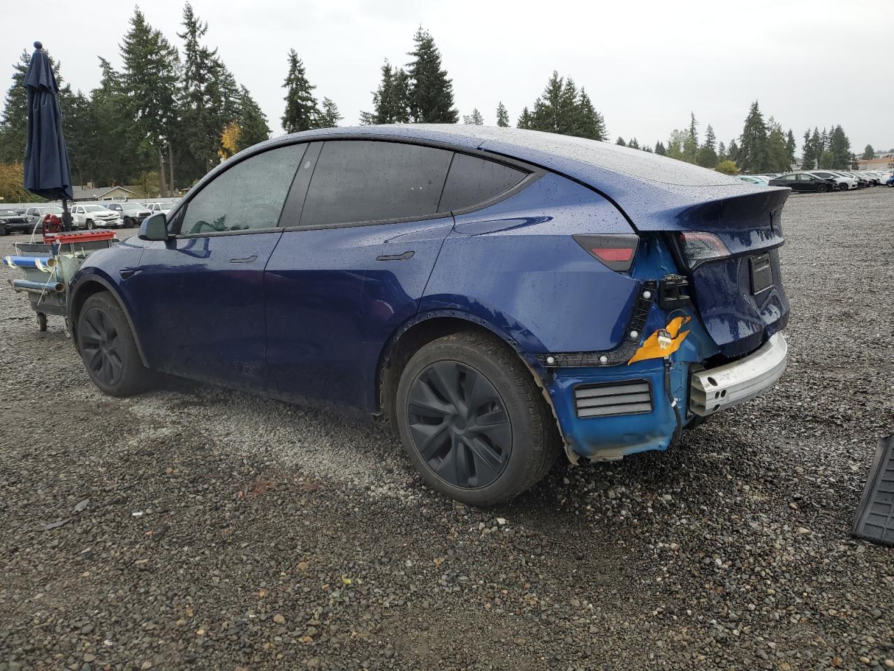 2024 TESLA MODEL Y