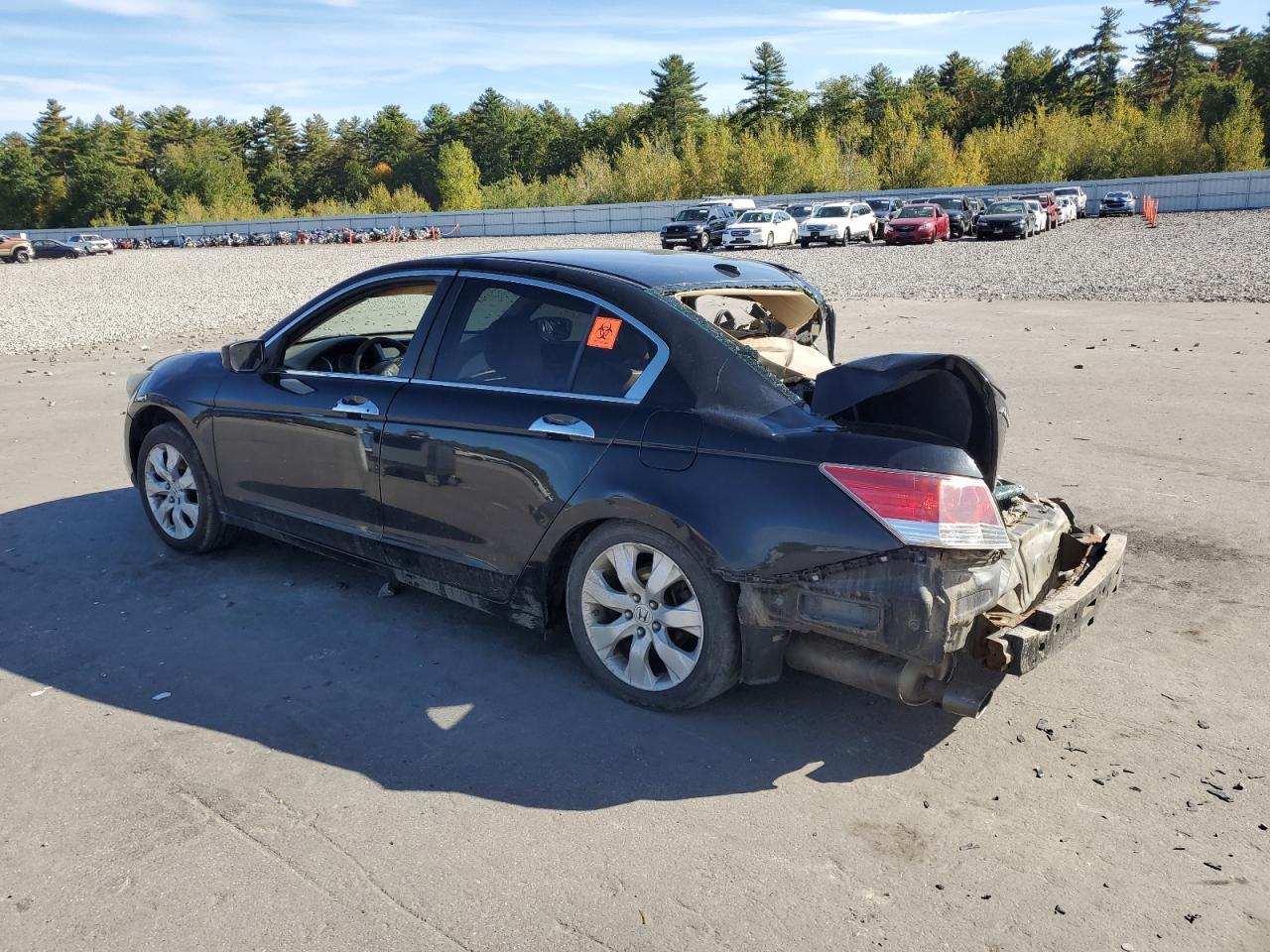 2010 HONDA ACCORD