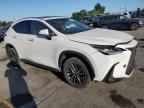 2024 LEXUS NX 250