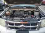 2009 FORD ESCAPE