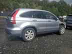 2008 HONDA CR-V