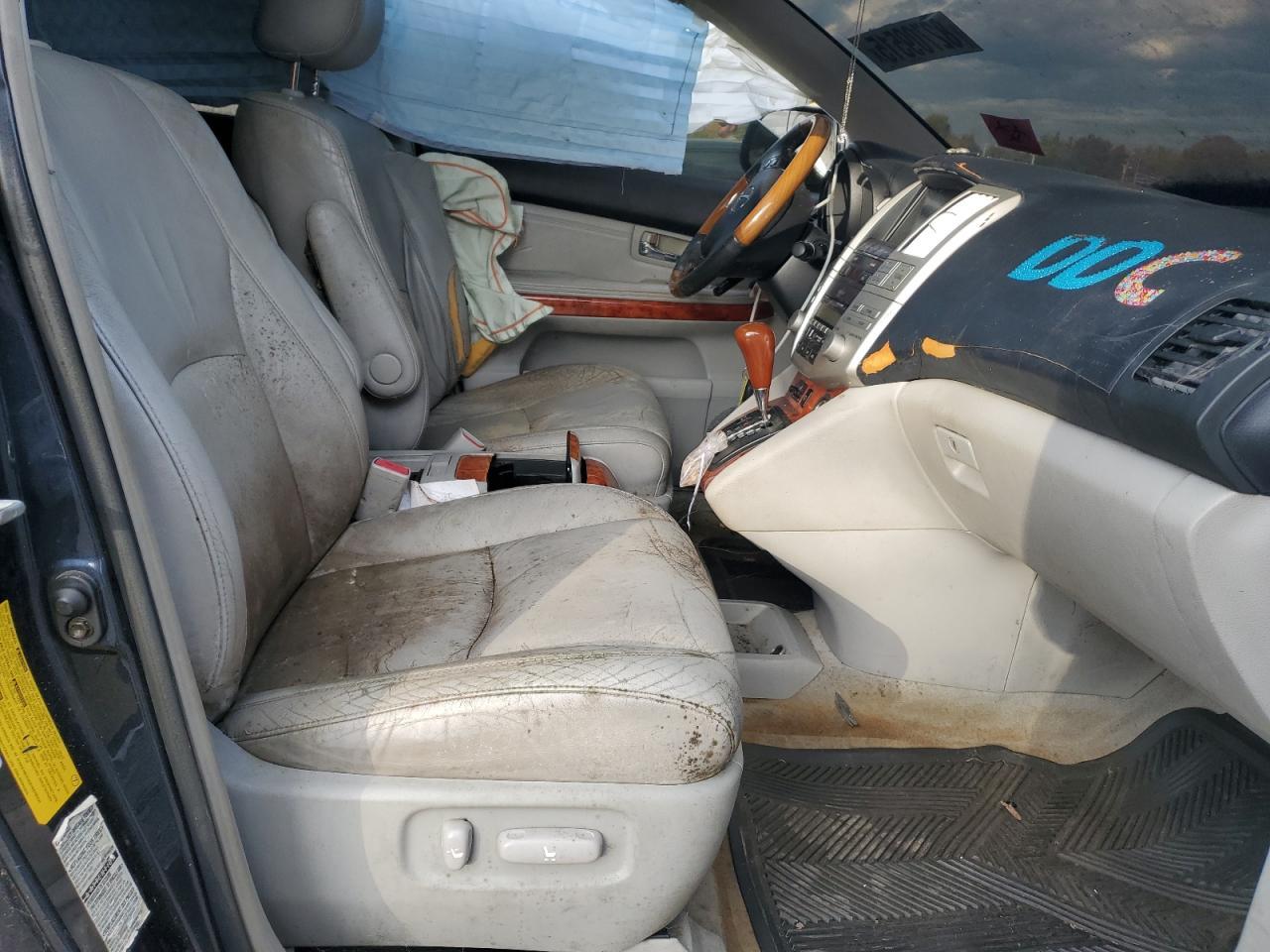2004 LEXUS Rx