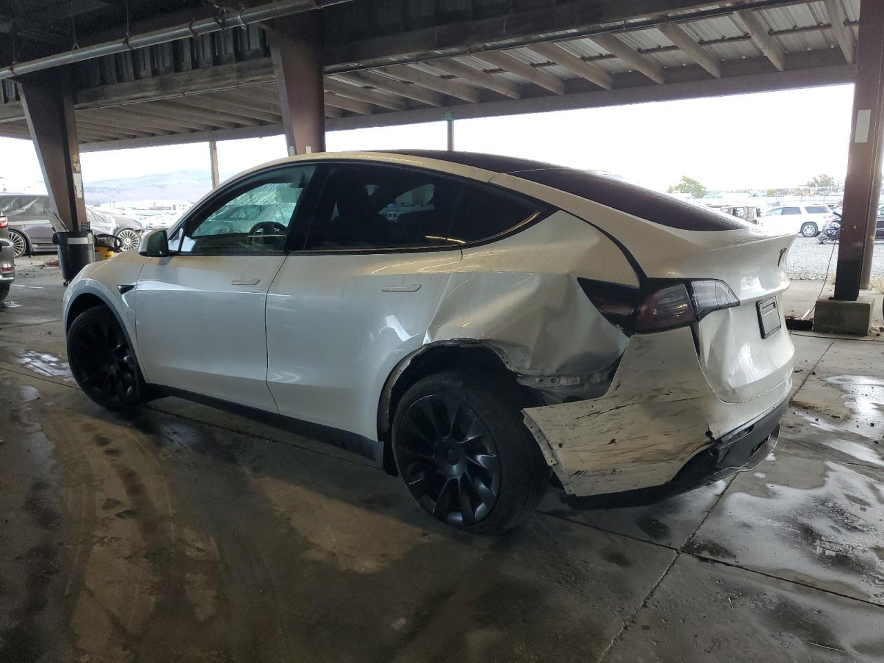 2020 TESLA MODEL Y