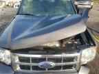2009 FORD ESCAPE