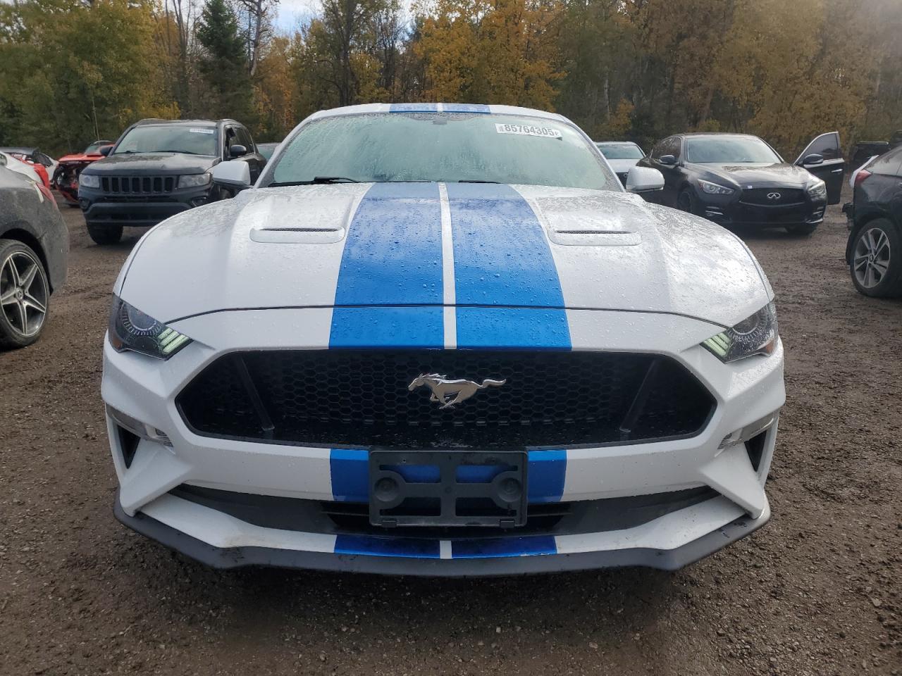 2019 FORD MUSTANG