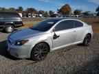 2005 TOYOTA SCION