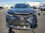2025 LEXUS NX 250