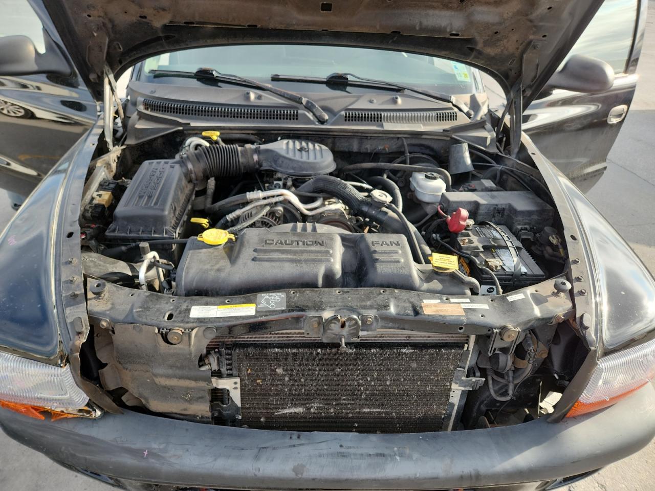 2002 DODGE Dakota