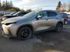 2025 LEXUS NX 250