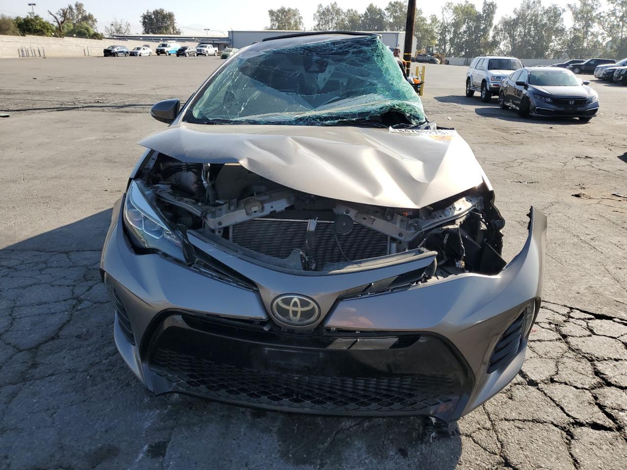 2019 TOYOTA COROLLA
