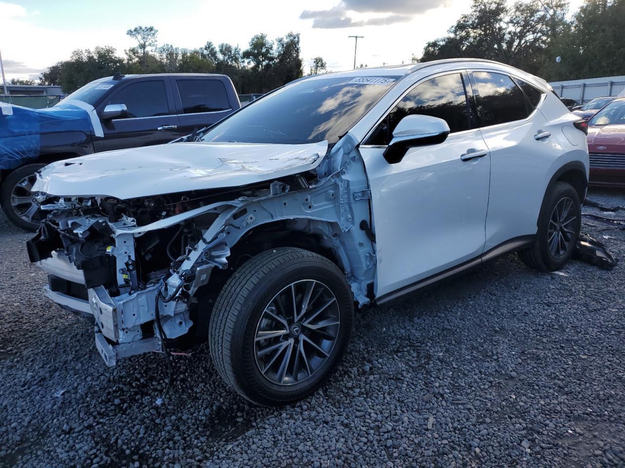 2025 LEXUS Nx
