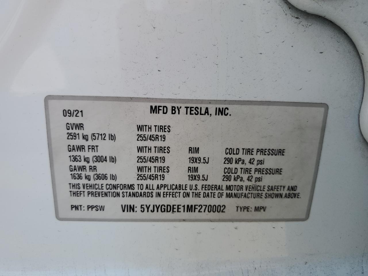 2021 TESLA MODEL Y