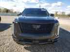 2025 CADILLAC ESCALADE