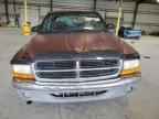 2000 DODGE Dakota