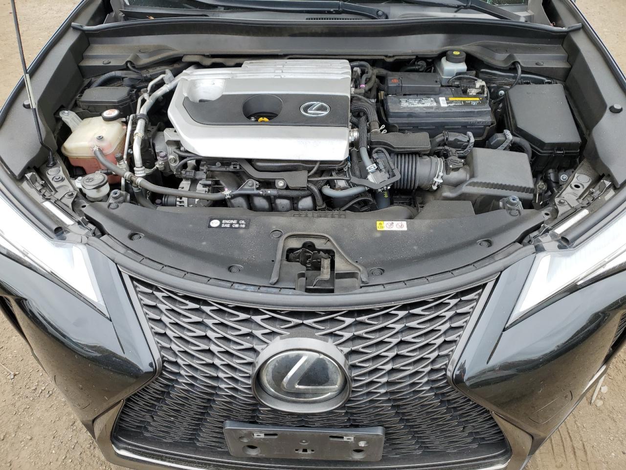 2019 LEXUS UX 200