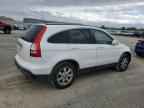 2007 HONDA CR-V
